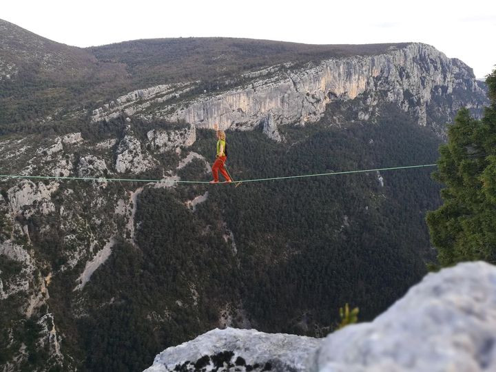 Vertikale Originale