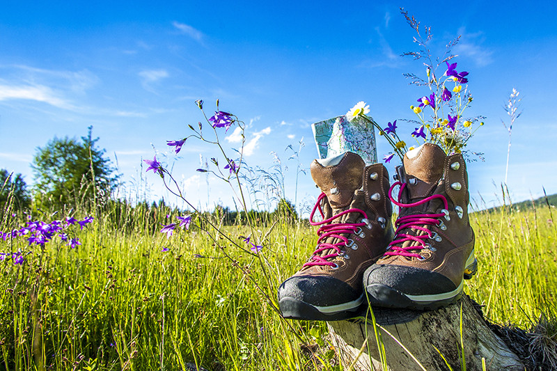 Fest zur Almrauschblüte