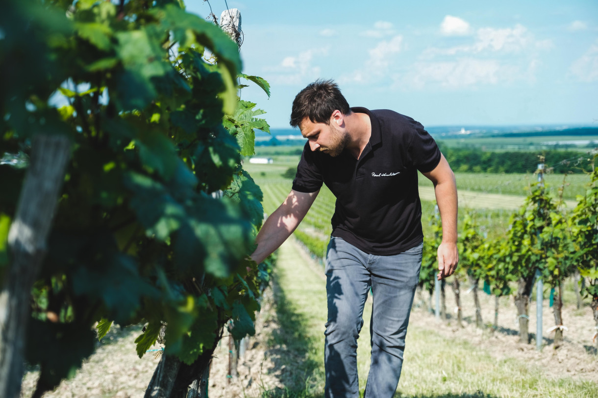 Dilly's Weinverkostung - Weingut Kerschbaum