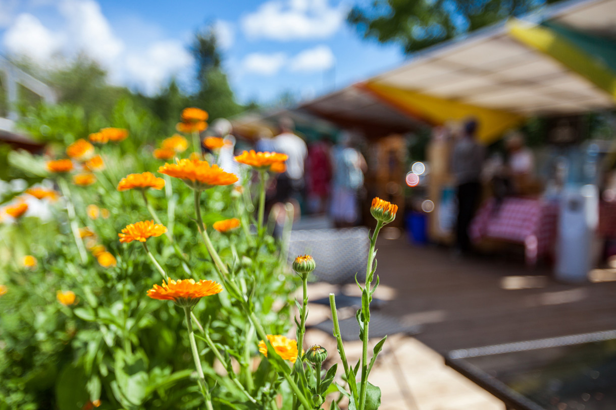 Ausseer Wochenmarkt