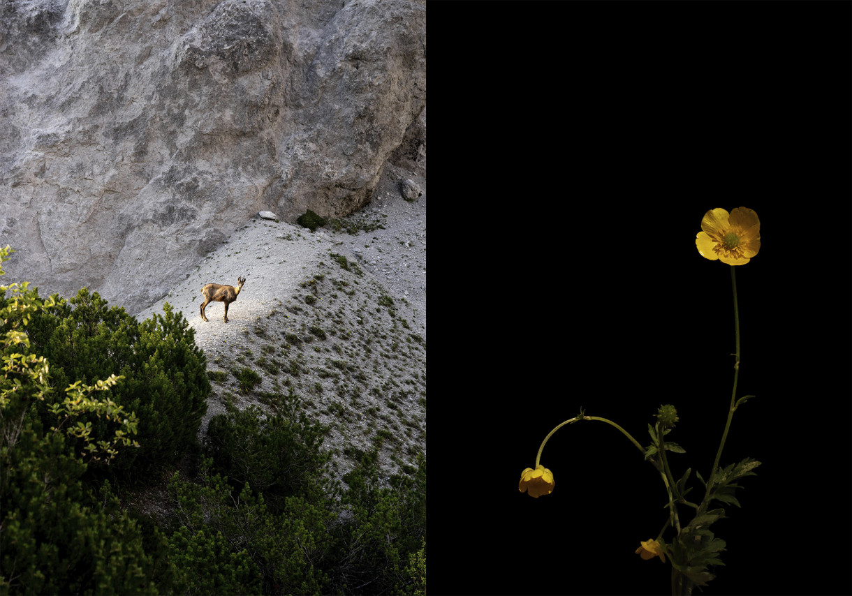 Wunder der Natur - Ausstellung 