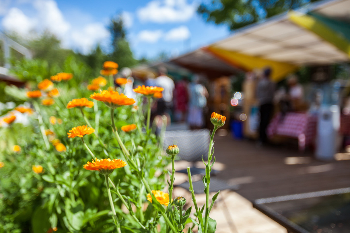 Ausseer Sommernächte 