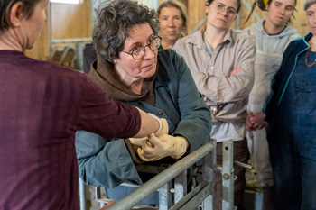 Dr.in Elisabeth Stöger unterrichtet Tiergesundheit.