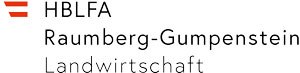 logo raumberg