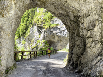 Almrunde Felsen