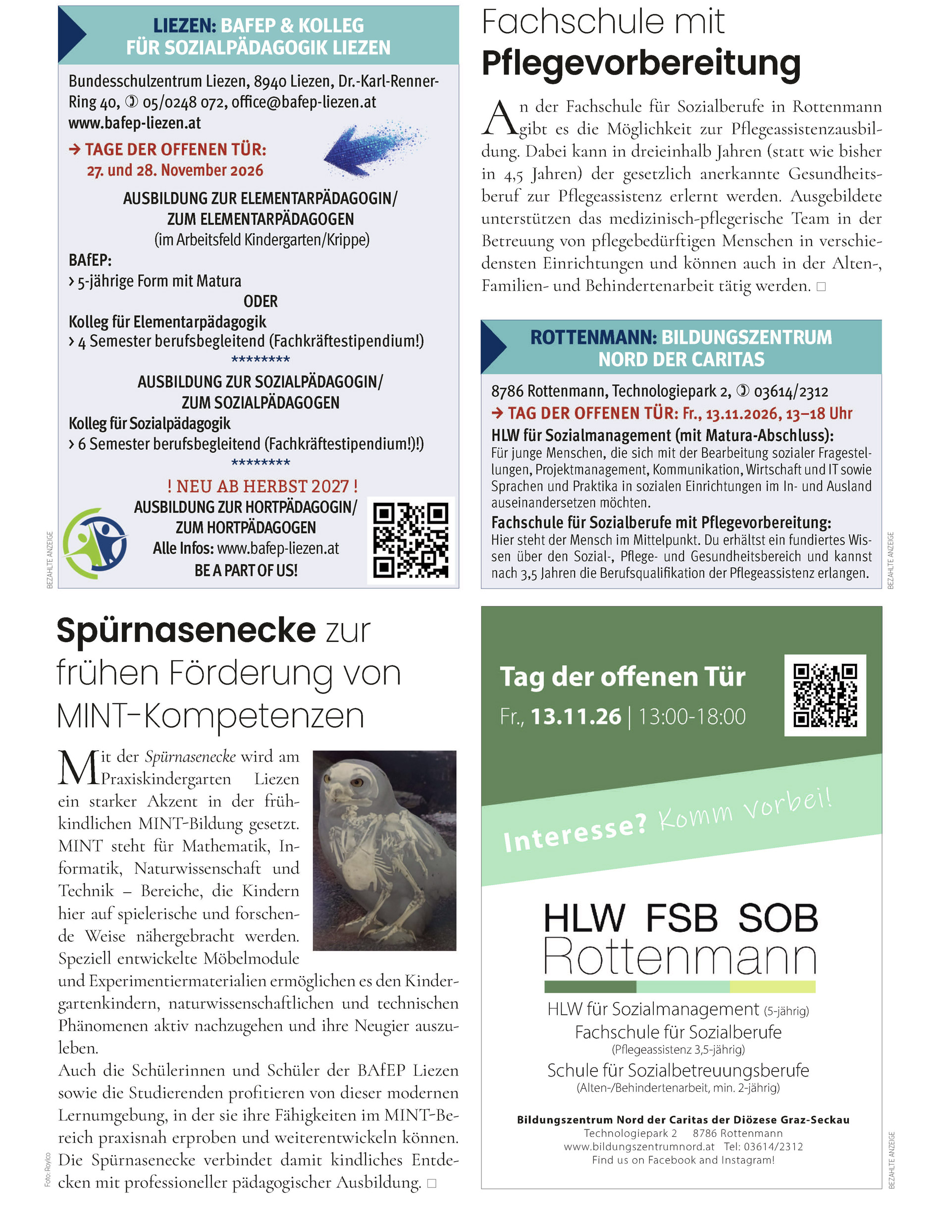 Schulen und ihr Angebot im Bezirk Liezen und darüber hinaus.