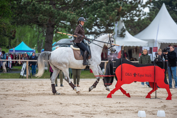 Erstmalig findet ein Working Equitation Turnier statt. (Foto: Linda Kreuzeder)