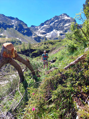 Mühsames Freischneiden des Weges zum Höchstein und Moaralmsee. (Foto: Alpine Gesellschaft Krummholz)