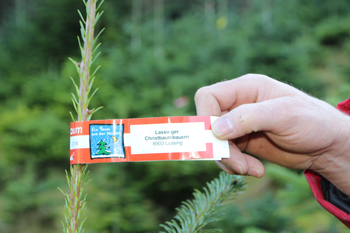 Die rot-weiß-rote Banderole garantiert einen Christbaum aus einem heimischen Betrieb, der sich durch den Namensaufdruck bis zum Produzenten zurückverfolgen lässt.