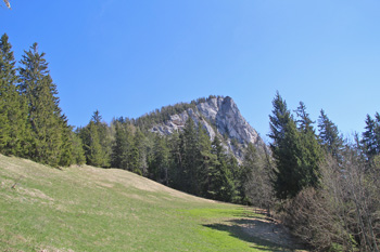 Kurz vor dem Gasthof Dachsteinblick bietet sich ein schöner Blick auf das Gindlhörndl. (Foto: Karl)