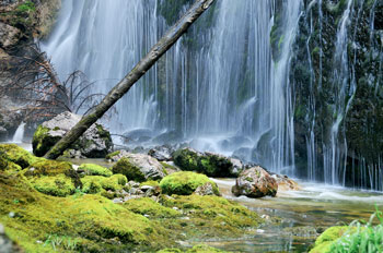 Mit etwas mehr als 22.000 Besuchern schaffte es auch die Wasserlochklamm Palfau noch unter die fünfzig beliebtesten Ausflugsziele der Steiermark.  (Foto: Steiermark Tourismus/Atelier Jungwirth Erich Hagspiel)