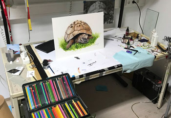 Arbeitsplatz mit Illustration (Foto: Vetta)