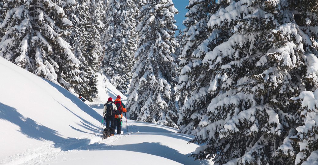 Skitourenboom: Aufruf zu  Vor- und Rücksicht