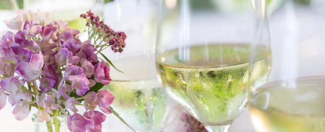 Der perfekte Spritzwein