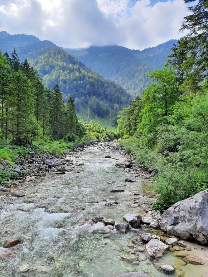 Dem nahezu unberührten Lassingtal wurde kürzlich der Status eines Wildnisgebiets zugesprochen.