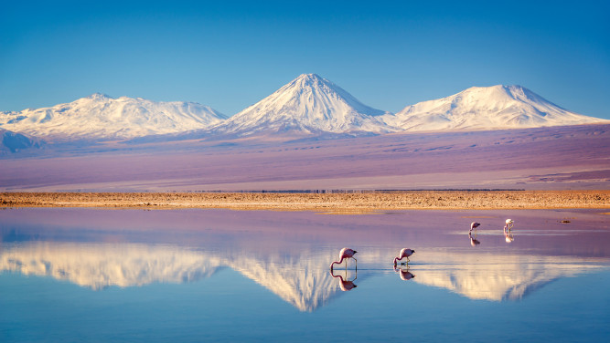 Der Lithiumabbau in Südamerika lässt die Lagunen der Salzseen wie hier in der Atacamawüste austrocknen, wodurch der Lebensraum der Andenflamingos verloren geht.