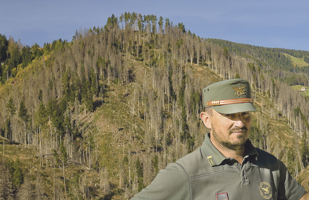 Das Landesforstkorps – Südtirols „Waldpolizei“ – kann den Wald aufgrund mangelnder Unterstützung durch die Jägerschaft nicht im notwendigen Ausmaß schützen.