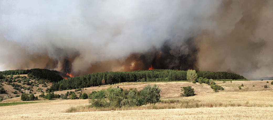 In Nordmazedonien kämpften steirische und niederösterreichische Feuerwehrleute gegen großflächige Waldbrände.
