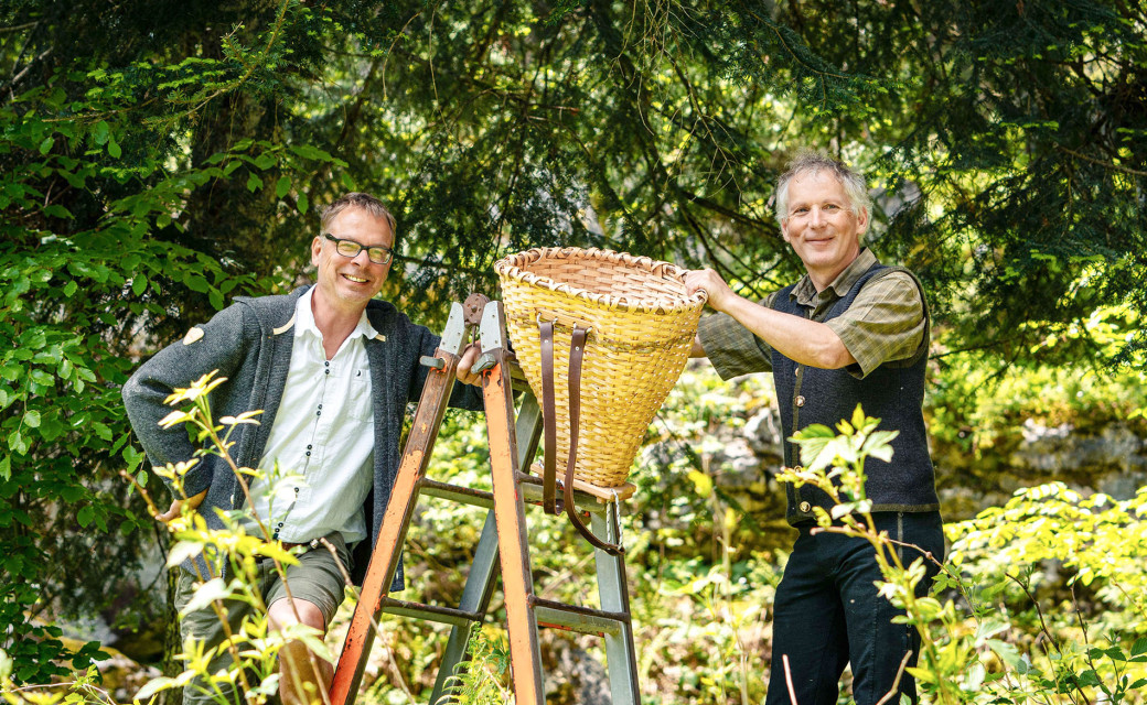 V. l.: Braumeister Axel Kiesbye und Revierleiter Thomas Kranabitl beim Ernten der frischen Tannentriebe im Ausseer Mischwald.