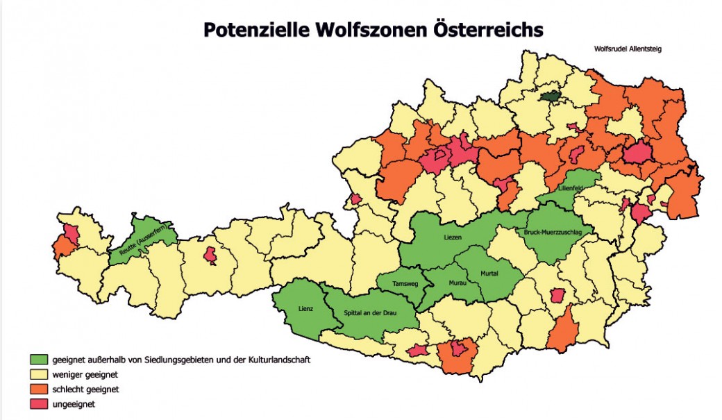 Bezirk Liezen ist potenzielle Wolfszone
