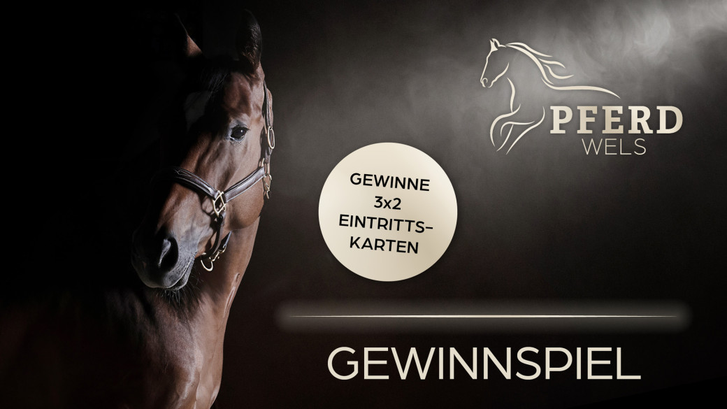 PFERD Wels &amp; Shows „Nacht der Pferde“