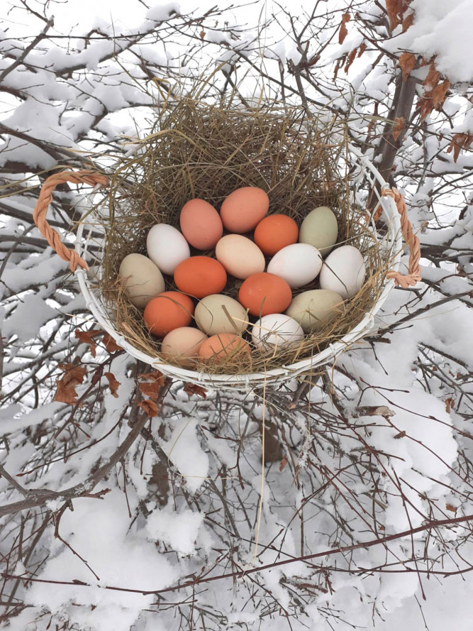 Nicht nur für Ostern