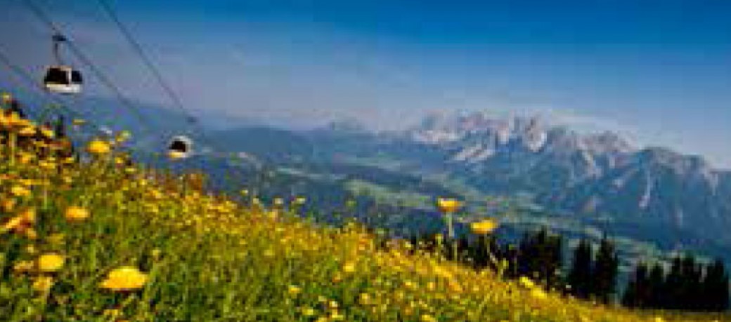 Planai meistgenutzte Sommerbergbahn der Steiermark