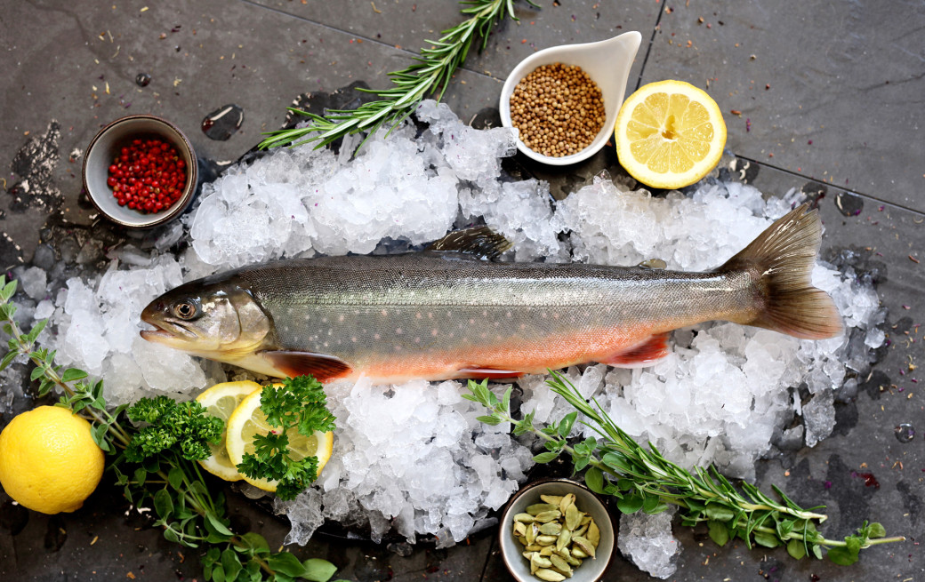 Nachhaltig und gesund:  Heimischer Fisch am Aschermittwoch