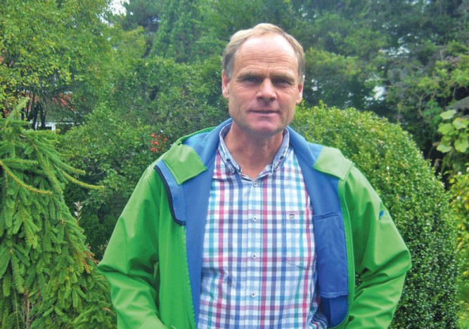 Christbäume: Die Nordmanntanne ist gefragt