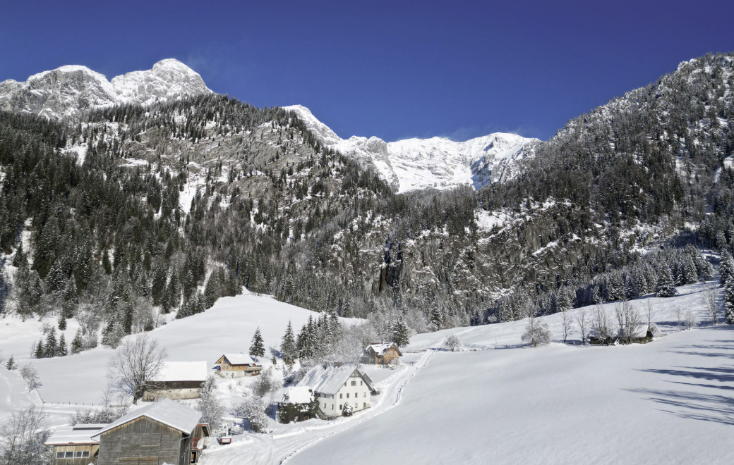 Vom Stillen Glück der Zufriedenheit am Wolfbauerhof