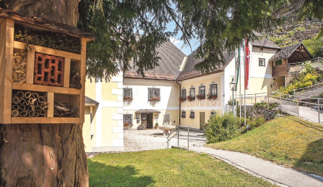 Vom Gletscher zum Wein – einmal eine andere Steiermark entdecken