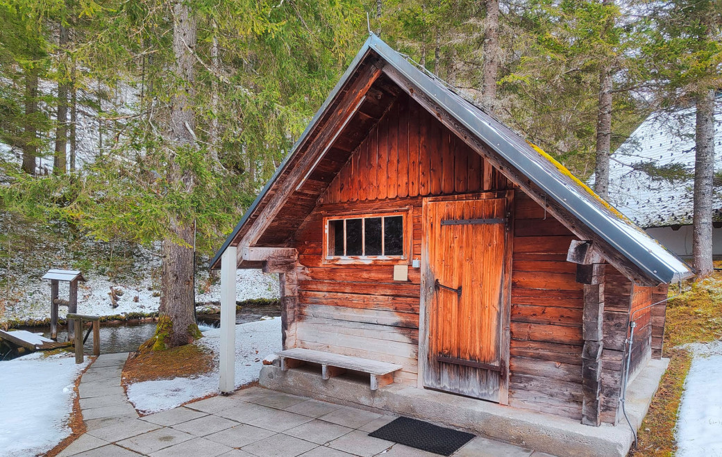 Eine Sauna steht im Walde
