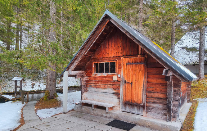 Eine Sauna steht im Walde