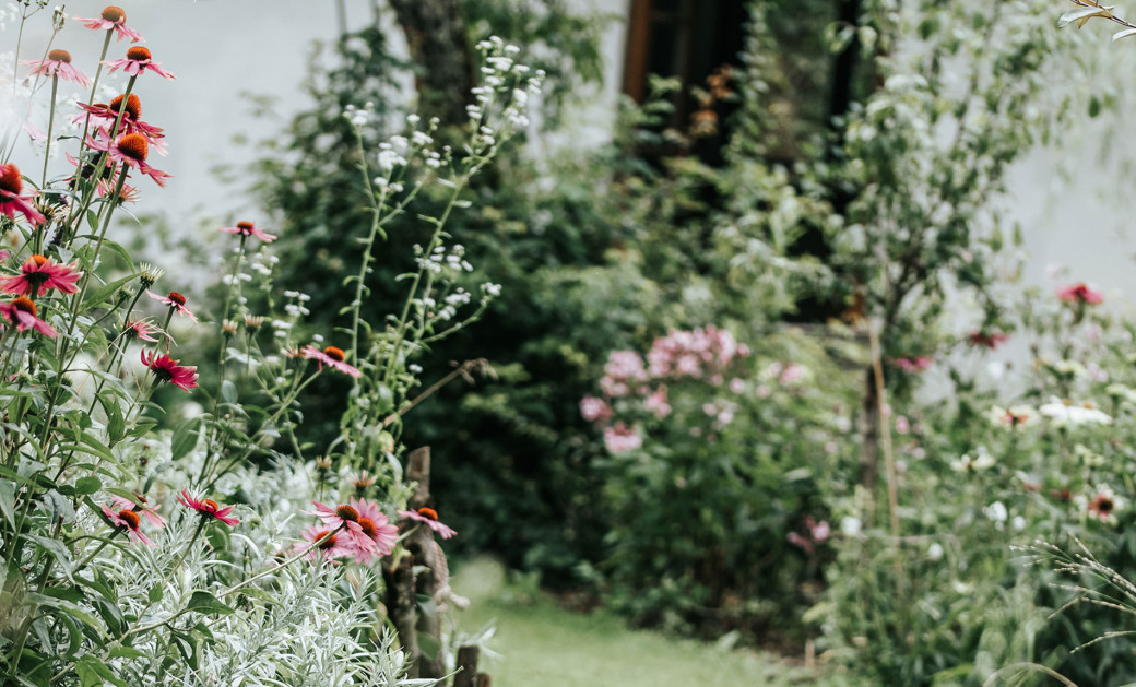 Bei Daniela Fößleitner in Ardning wachsen die Blumen zu ihrer Zeit und in ihrem Rhythmus, ganz nah und natürlich ohne Pestizide.