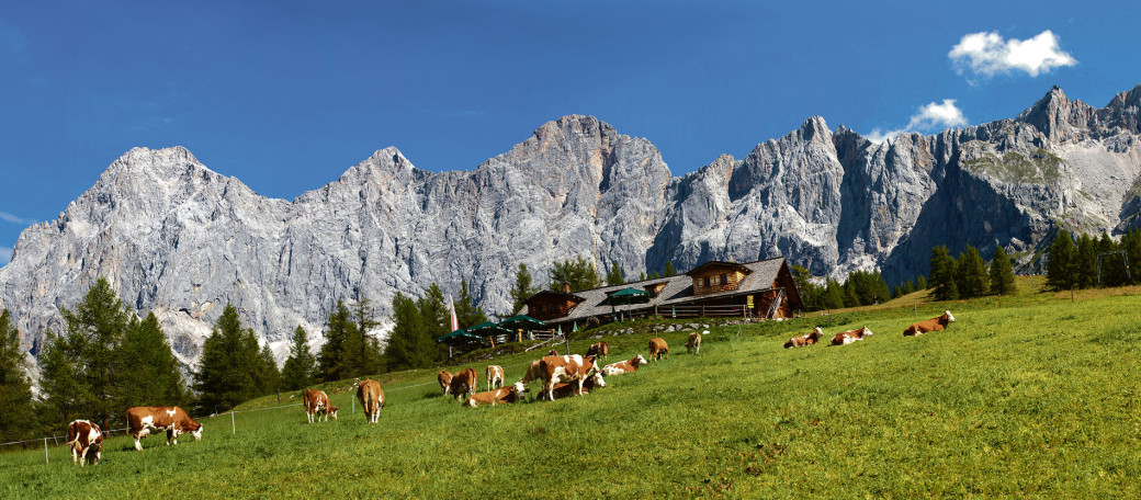 Titschenbacher: „Bauern veredeln die Landschaft“