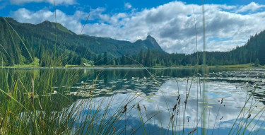 Ein Tag am Spechtensee