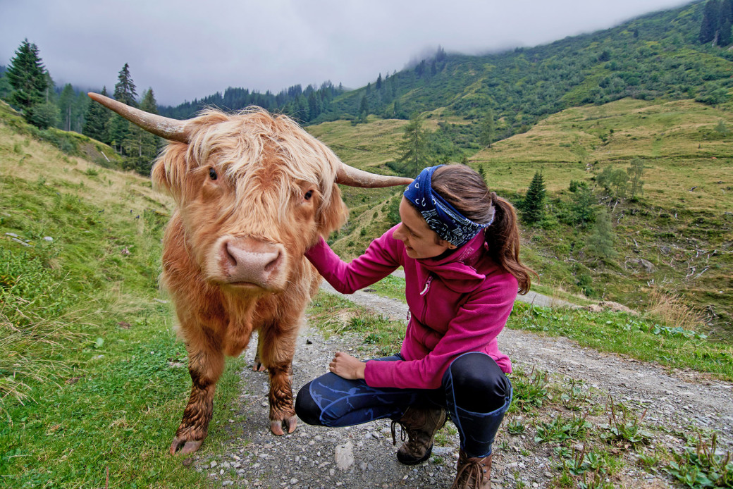 Happy Highlands – von der Weide ins Herz