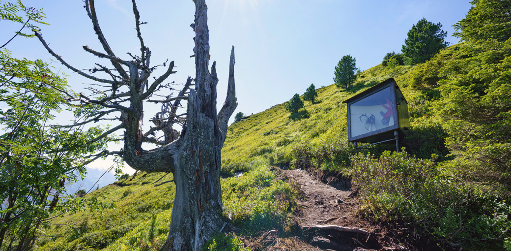 Riesneralm: Lawinengalerie sucht Künstler