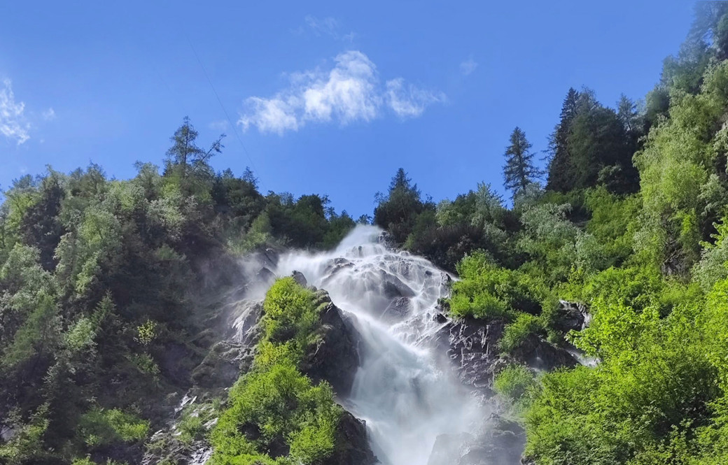 Naturjuwel Steirischer Bodensee