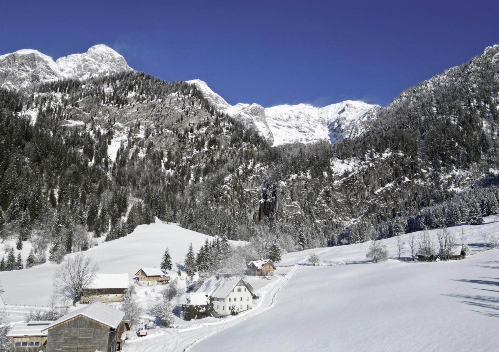 Vom Stillen Glück der Zufriedenheit am Wolfbauerhof
