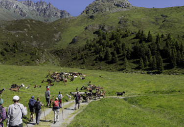 Hirt:in kann man lernen