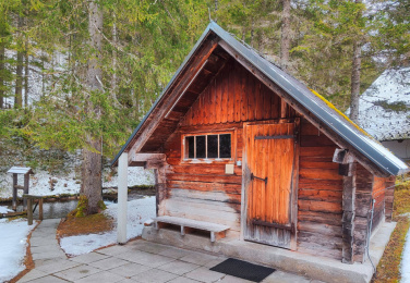 Eine Sauna steht im Walde