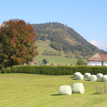 Ennstaler Gemeinden im Fokus