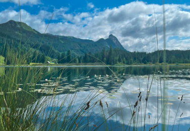 Ein Tag am Spechtensee