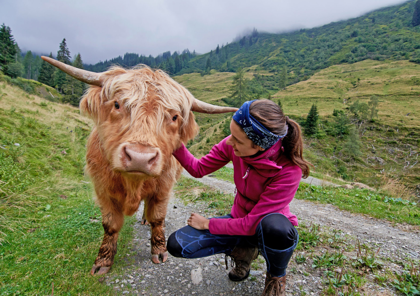 Happy Highlands – von der Weide ins Herz